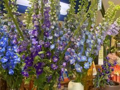 -弗劳尔花艺坊(龙涛店)