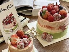 -山与蓝·轻糖鲜果蛋糕(勒泰店)