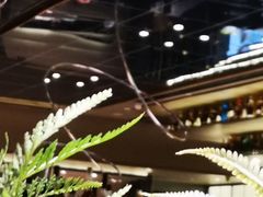 -领鲜天下·焗海鲜·花胶鸡(天目里店)