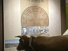 -特克斯八卦城