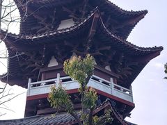 -武汉园博园(武汉自然博物馆)