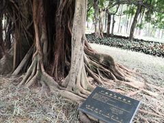 -广州中山纪念堂