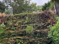 -广州神农草堂中医药博物馆