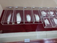 -中国湖笔博物馆(莲花庄路)