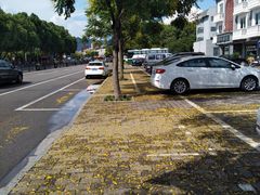 -溪口-滕头旅游景区