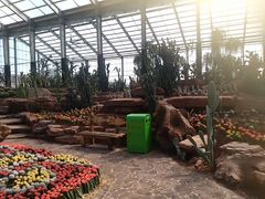 -南通洲际绿博园