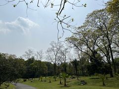 -杭州植物园