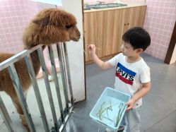-Moni星球萌宠·小马宝莉·灵蛇·高端高阶全萌宠互动体验俱乐部(红豆国际广场店)