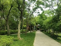 -长广溪湿地公园