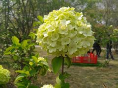 -合肥三国新城遗址公园