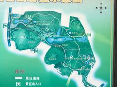 -金山植物公园