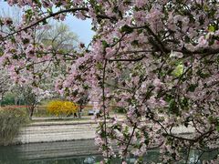 -元大都城垣遗址公园