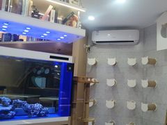 -喵园·猫主题咖啡厅·撸猫·猫咖(国贸店)