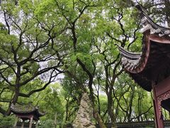 -天一阁博物院