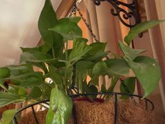-观盐·盐帮菜(官园桥店)