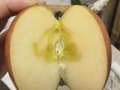 -世界之窗阿尔卑斯冰雪世界