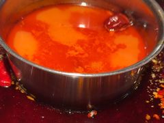 -二荆条·蜀鲜汇城市森林火锅