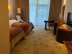 -雅安楠水阁温泉酒店