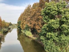 -上海长兴岛郊野公园