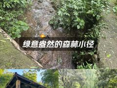 -莫干山风景区