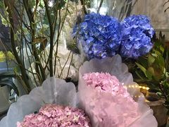 -花草间花行(法华镇路店)