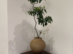 -慈云斋·24节气素食