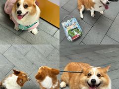 -新光里