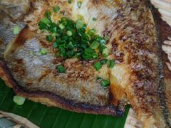 香煎黄花鱼-和记菜馆