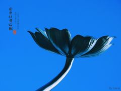 -宗角禄康公园