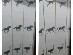 -正佳自然科学博物馆