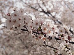 -龙美术馆(西岸馆)