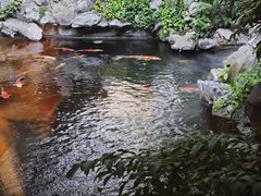 -鲤院·新中式美学·庭院餐厅(夫子庙店)