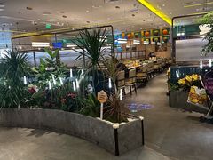 -润园四季椰子鸡火锅(南山海岸城店)