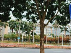-南宁荔园维景国际酒店·荔园中餐厅