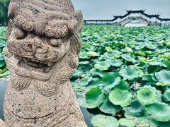 -锦溪古镇