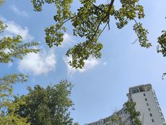 -龍歌自助小火锅(城阳万象汇店)