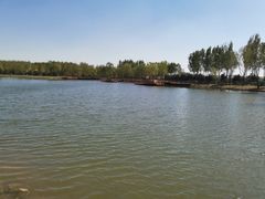 -东郊湿地公园