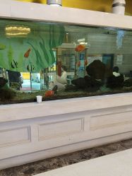 -武汉五洲整形外科医院