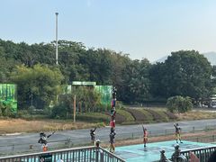 -深圳野生动物园