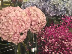 -广州花园酒店-凌璇阁360度高空海鲜自助餐CAROUSEL