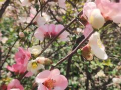 -宝钢特钢有限公司