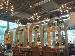 大堂-桉树林A coffee 森林餐厅(三圣乡店)