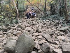 -大蜀山国家森林公园