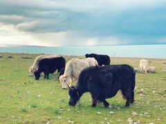 -青海湖国家重点风景名胜区