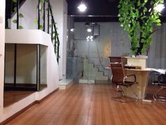 德玛西亚宠物会馆-猫狗日记·自助洗护·宠物寄养·售卖