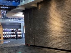 -SFC动漫主题影院(美罗城店)