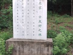 -北京鹫峰国家森林公园