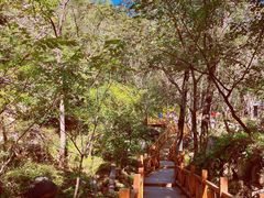 -大岭沟猕猴桃谷风景区