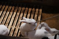 -酷嗒动物文化乐园(cutezoo西溪乐天城店)