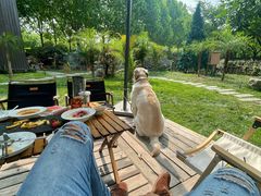 -Supine Bistro溯泮餐厅